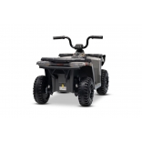 ARTIC_CAT_QUAD_GREY_Li 12.jpg