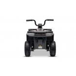 ARTIC_CAT_QUAD_GREY_Li 11.jpg