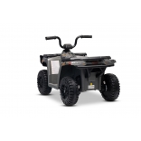 ARTIC_CAT_QUAD_GREY_Li 9.jpg