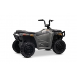 ARTIC_CAT_QUAD_GREY_Li 15.jpg