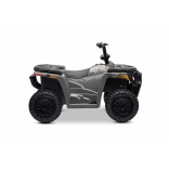 ARTIC_CAT_QUAD_GREY_Li 17.jpg