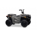 ARTIC_CAT_QUAD_GREY_Li 18.jpg