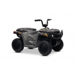 ARTIC_CAT_QUAD_GREY_Li 19.jpg