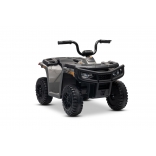 ARTIC_CAT_QUAD_GREY_Li 21.jpg