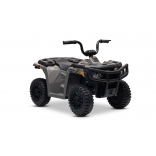 ARTIC_CAT_QUAD_GREY_Li 20.jpg