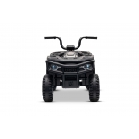 ARTIC_CAT_QUAD_GREY_Li 23.jpg