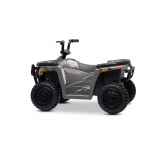 ARTIC_CAT_QUAD_GREY_Li 6.jpg