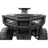 ARTIC_CAT_QUAD_GREY_Li 25.jpg