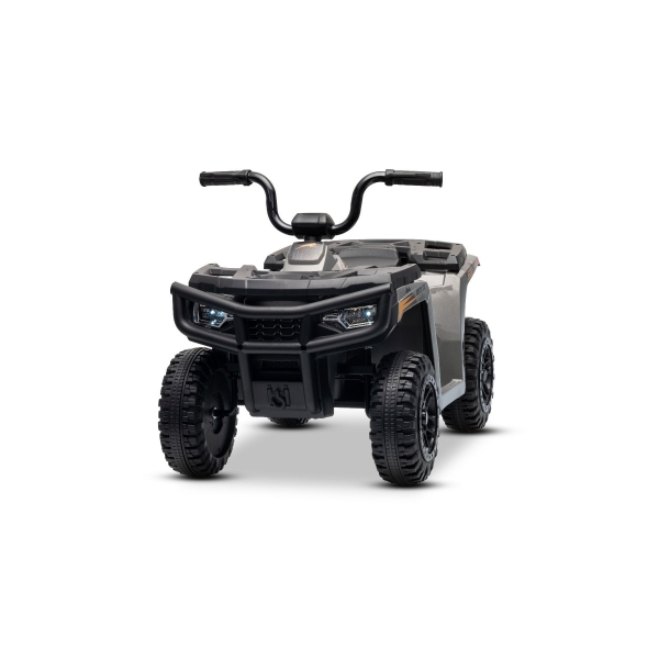 ARTIC_CAT_QUAD_GREY_Li 24.jpg