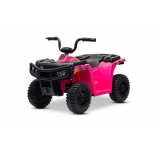 ARTIC_CAT_QUAD_PINK_Li 2.jpg