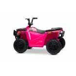 ARTIC_CAT_QUAD_PINK_Li 6.jpg
