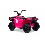 ARTIC_CAT_QUAD_PINK_Li 8.jpg