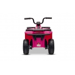 ARTIC_CAT_QUAD_PINK_Li 11.jpg