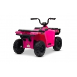 ARTIC_CAT_QUAD_PINK_Li 13.jpg