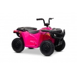 ARTIC_CAT_QUAD_PINK_Li 19.jpg