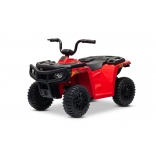 ARTIC_CAT_QUAD_RED_Li 2.jpg