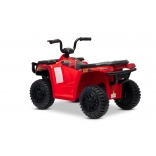 ARTIC_CAT_QUAD_RED_Li 8.jpg