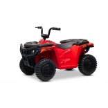 ARTIC_CAT_QUAD_RED_Li 3.jpg