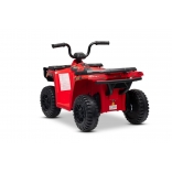 ARTIC_CAT_QUAD_RED_Li 9.jpg