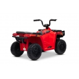 ARTIC_CAT_QUAD_RED_Li 14.jpg