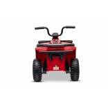 ARTIC_CAT_QUAD_RED_Li 11.jpg