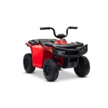 ARTIC_CAT_QUAD_RED_Li 21.jpg