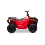 ARTIC_CAT_QUAD_RED_Li 17.jpg