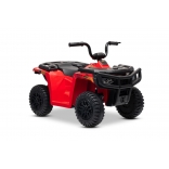 ARTIC_CAT_QUAD_RED_Li 20.jpg