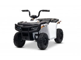 ARTIC_CAT_QUAD_WHITE_Li 1.jpg