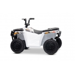 ARTIC_CAT_QUAD_WHITE_Li 6.jpg