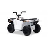 ARTIC_CAT_QUAD_WHITE_Li 8.jpg