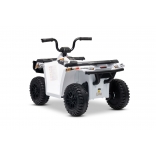 ARTIC_CAT_QUAD_WHITE_Li 9.jpg