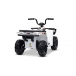 ARTIC_CAT_QUAD_WHITE_Li 12.jpg