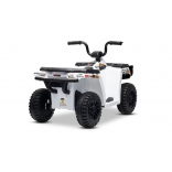 ARTIC_CAT_QUAD_WHITE_Li 13.jpg