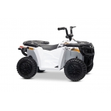 ARTIC_CAT_QUAD_WHITE_Li 18.jpg