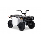 ARTIC_CAT_QUAD_WHITE_Li 20.jpg