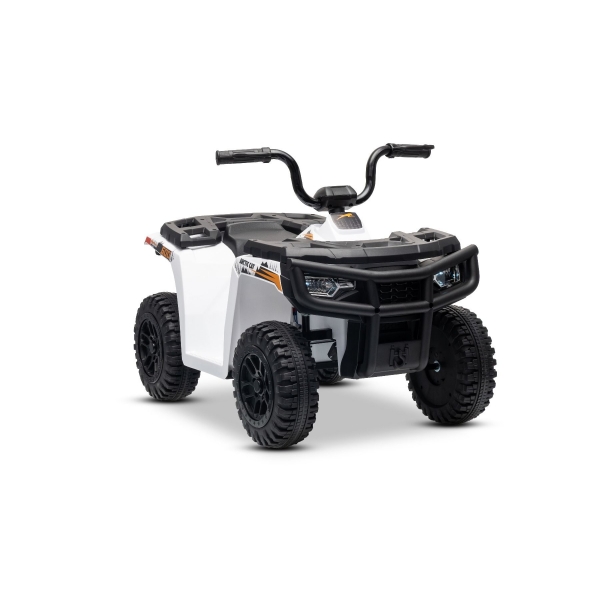 ARTIC_CAT_QUAD_WHITE_Li 21.jpg