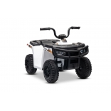 ARTIC_CAT_QUAD_WHITE_Li 21.jpg