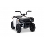 ARTIC_CAT_QUAD_WHITE_Li 22.jpg