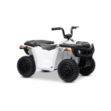 ARTIC_CAT_QUAD_WHITE_Li 19.jpg