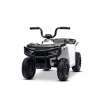 ARTIC_CAT_QUAD_WHITE_Li 24.jpg