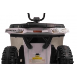 ARTIC_CAT_QUAD_WHITE_Li 28.jpg