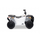 ARTIC_CAT_QUAD_WHITE_Li 17.jpg