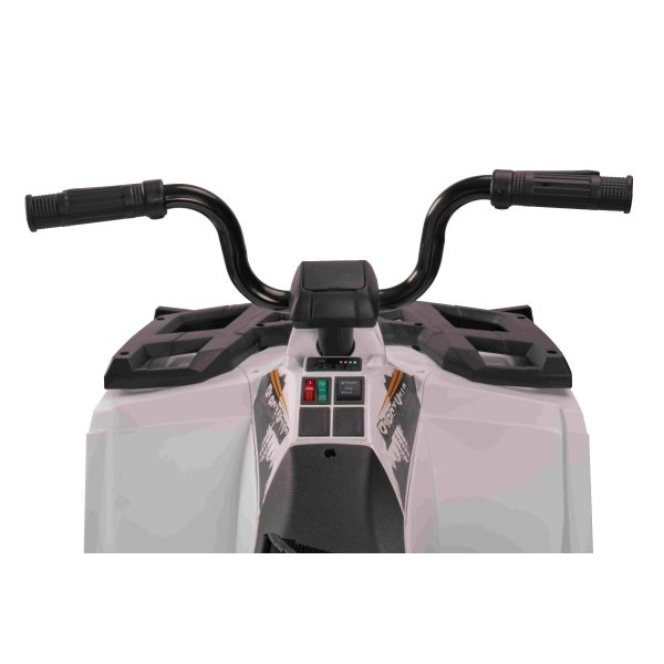 ARTIC_CAT_QUAD_WHITE_Li 30.jpg