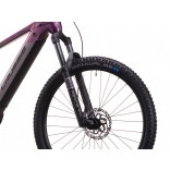 e-Fionna 10.11-(894 Wh).jpg