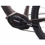 e-Fionna 10.11-(894 Wh).jpg