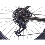 e-Fionna 10.11-(894 Wh).jpg