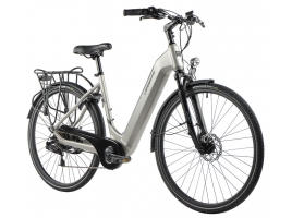 Induktora strieborná - 132593165_1.jpg