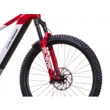 e-Hard 10.11-PRO (715 Wh).jpg