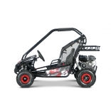 BUGGY_RSX_RED_XL 10.jpg